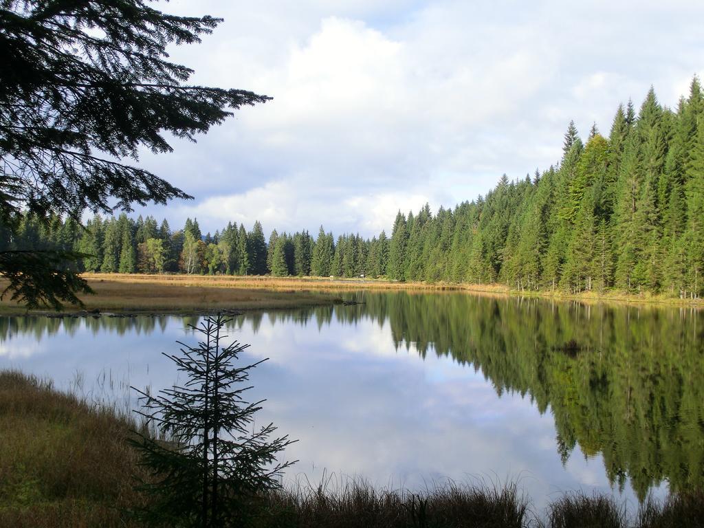 Pension Arberwald Bayerisch Eisenstein Kültér fotó